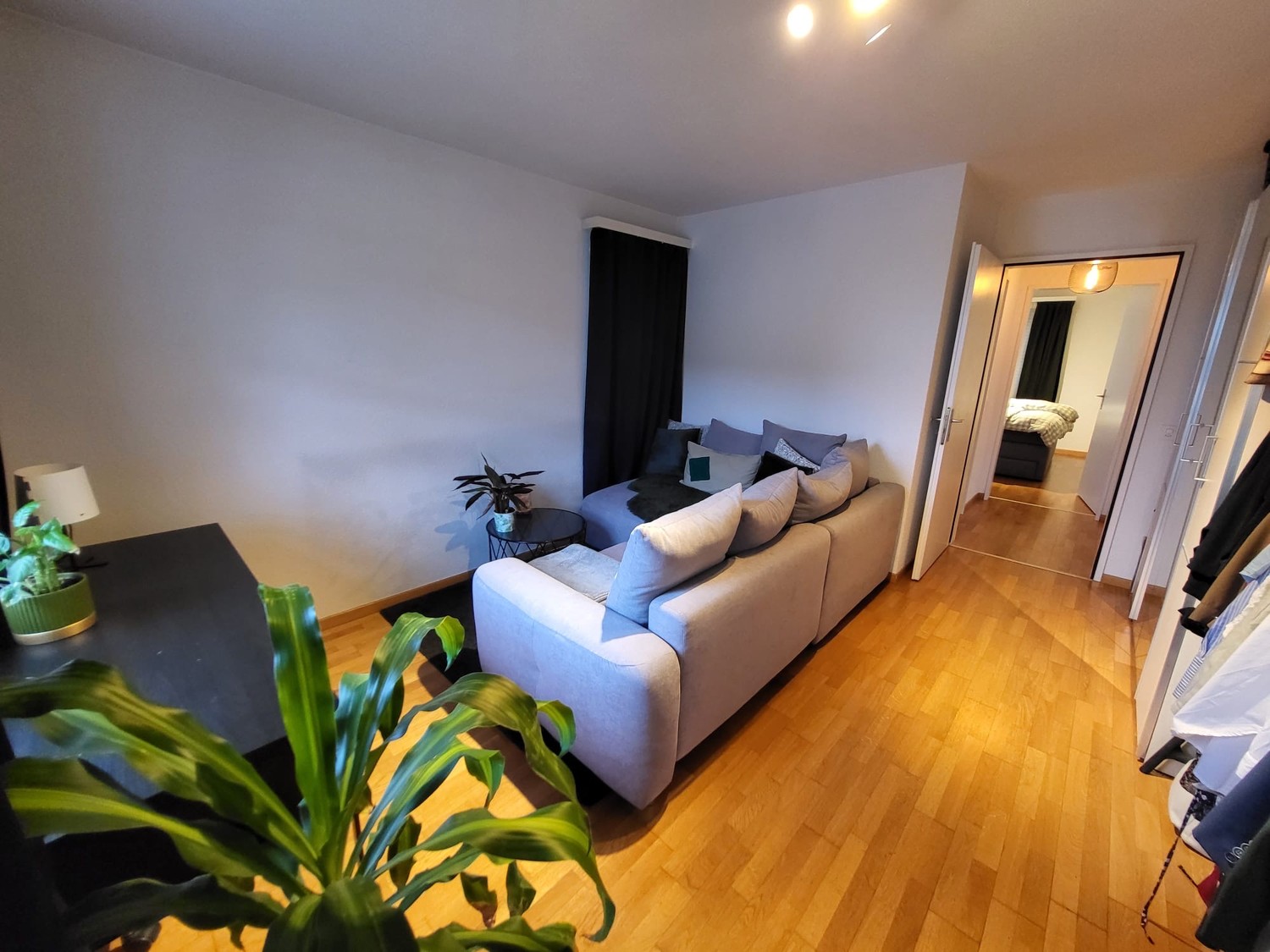 Appartement 3 ½ pièces