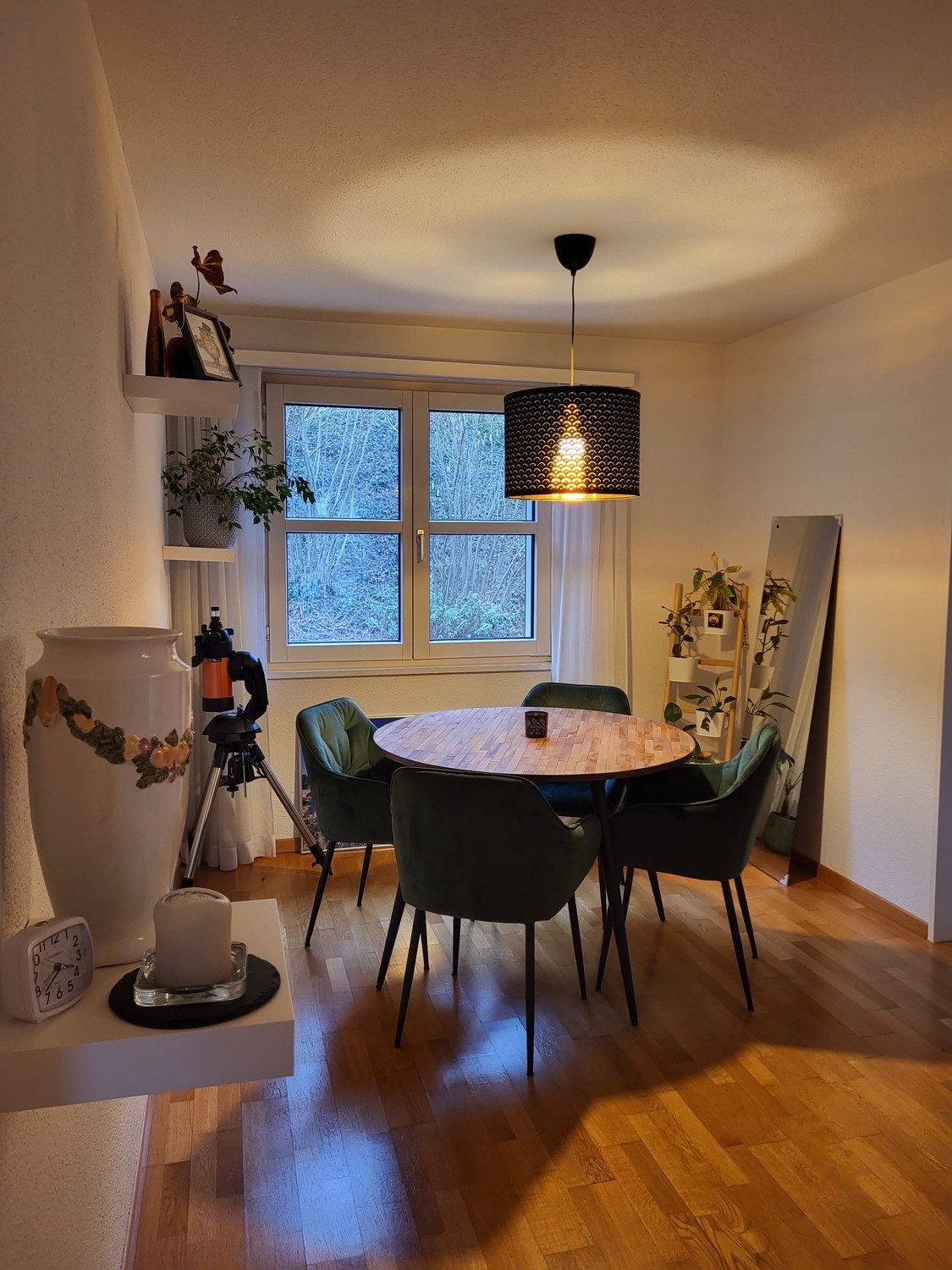 Appartement 3 ½ pièces