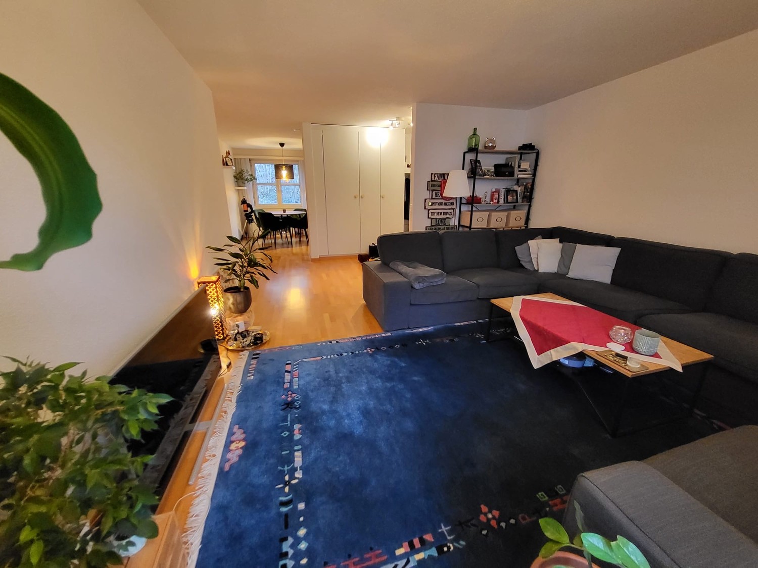 Appartement 3 ½ pièces