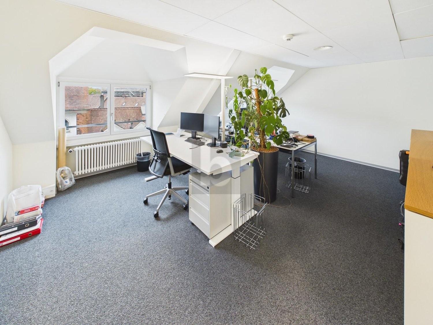 1000m² office