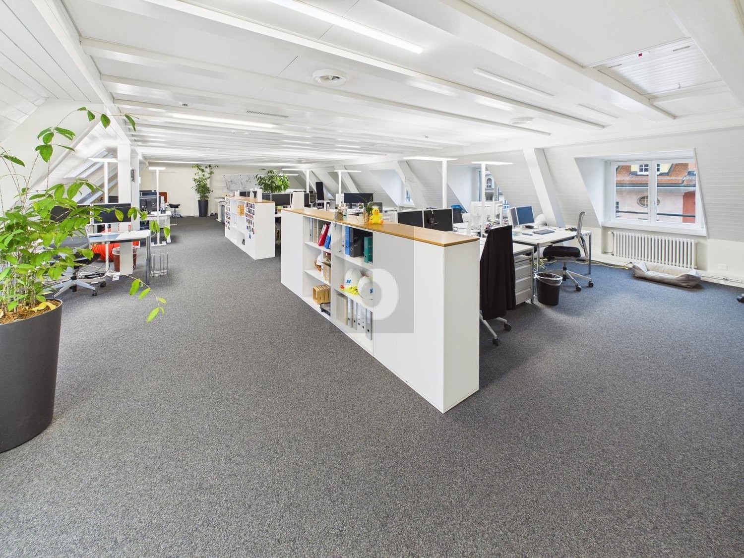 1000m² office