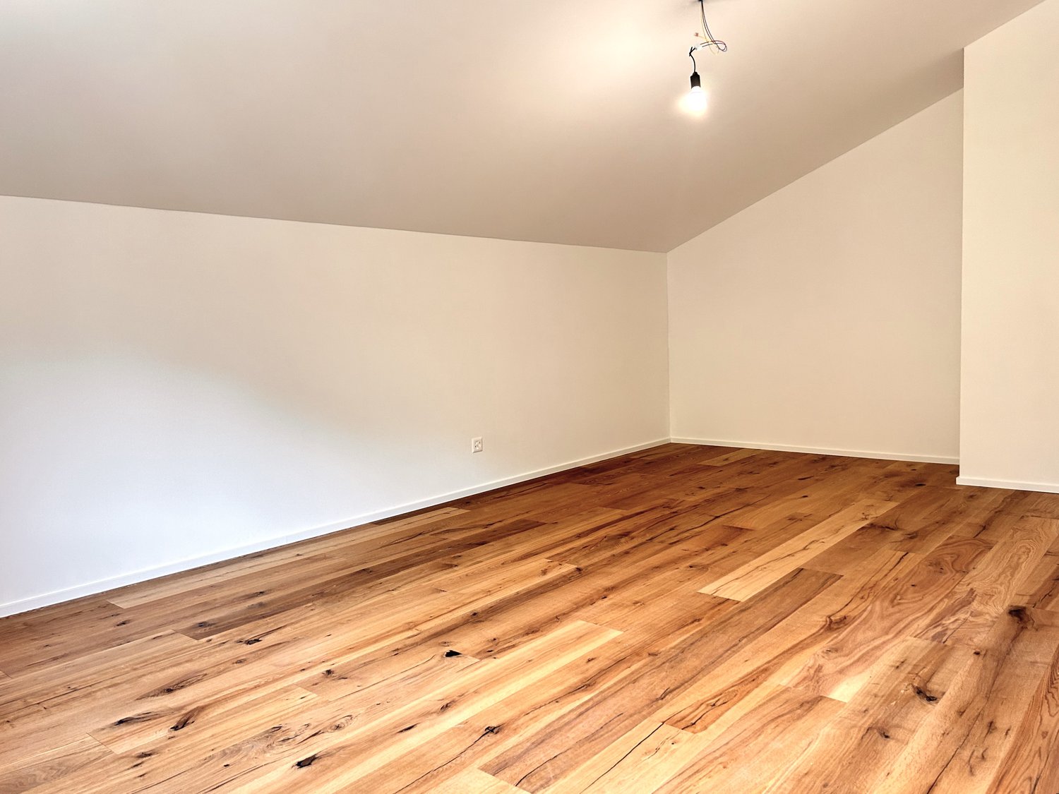 Loft 2 ½ pièces