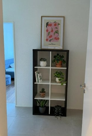 2 pièces appartement