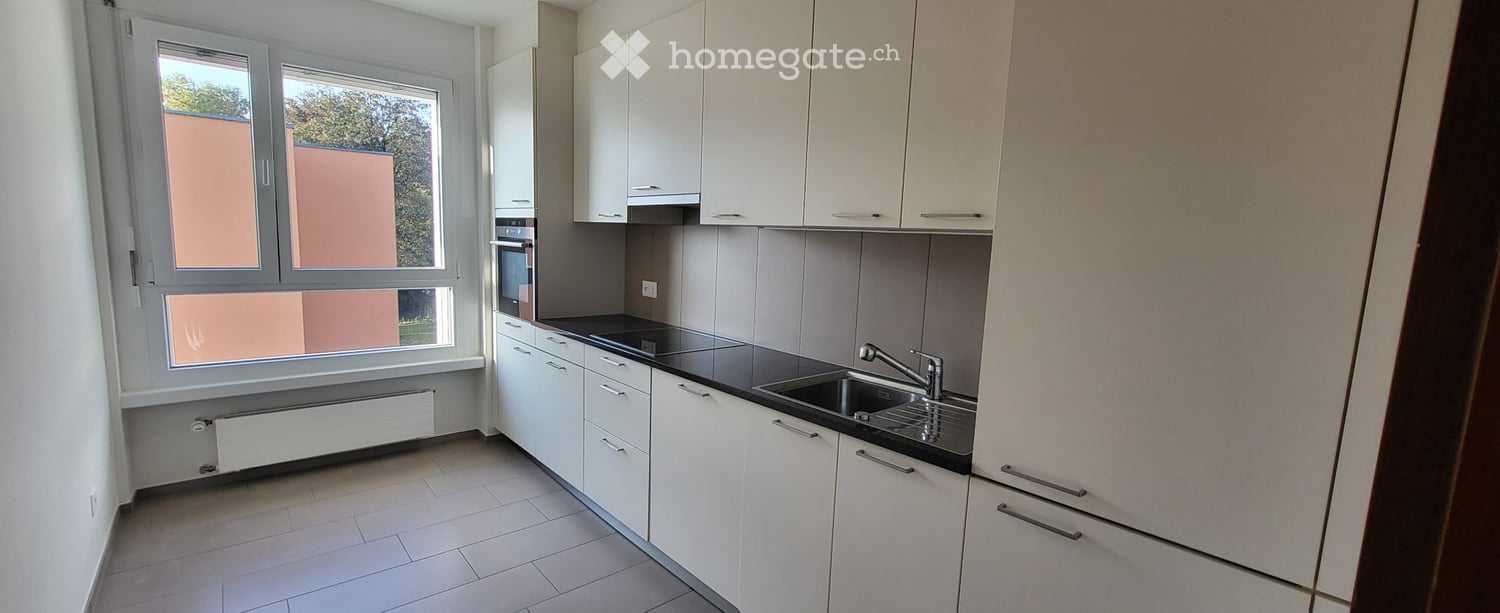 4 ½ rooms apartment (3)