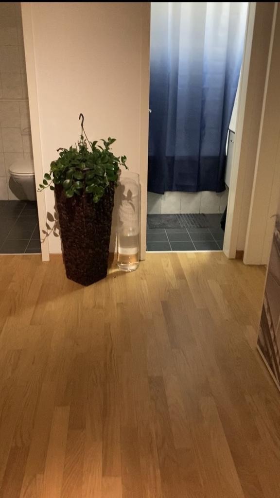 3-Zimmer-Wohnung, Foto 3 von 7