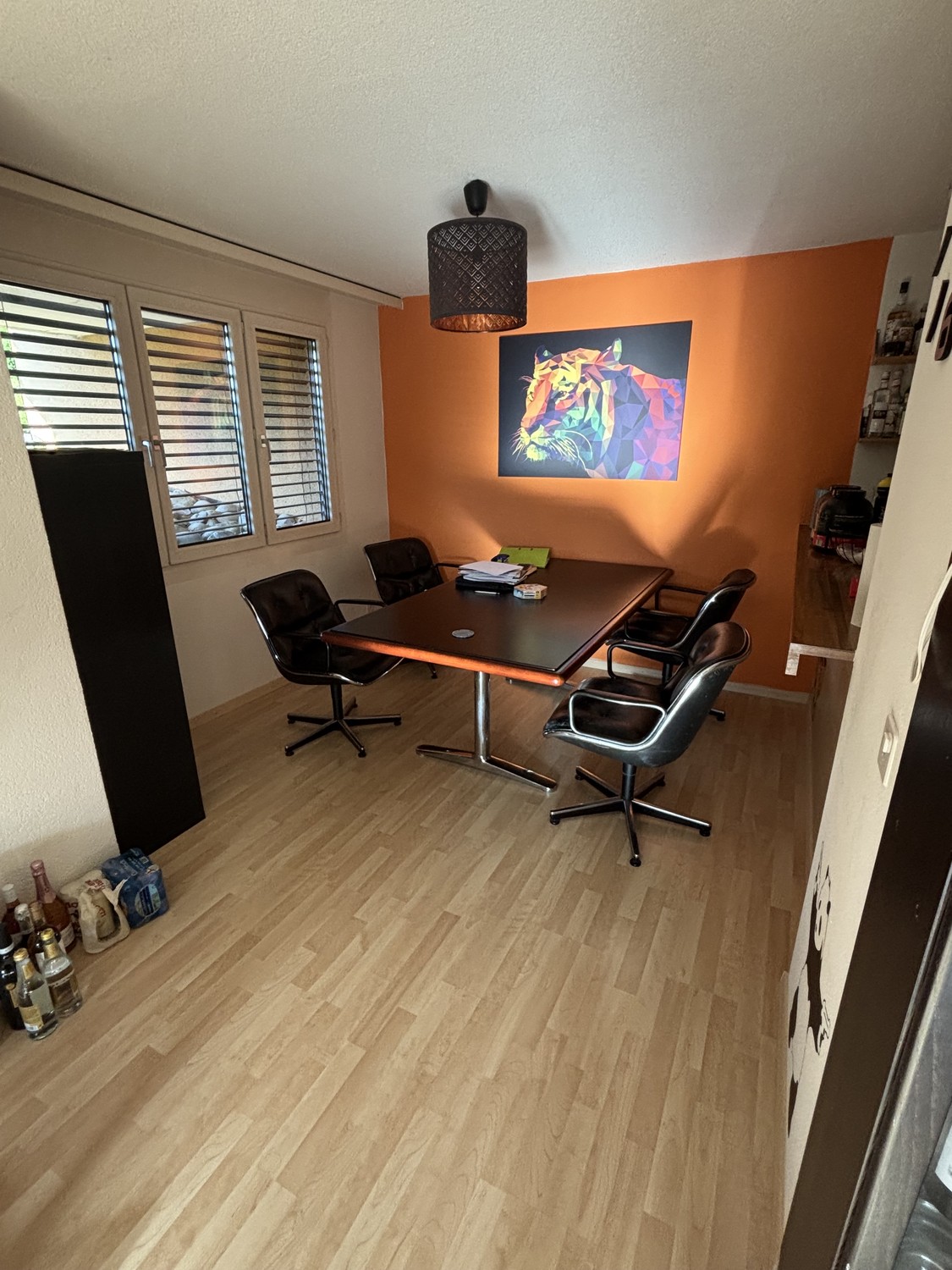 Appartamento di 4 ½ locali (5)