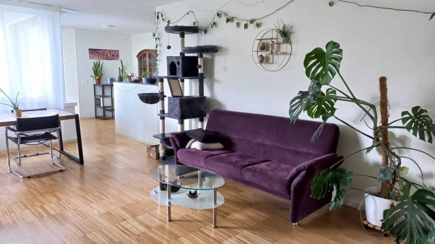 Chambre en colocation