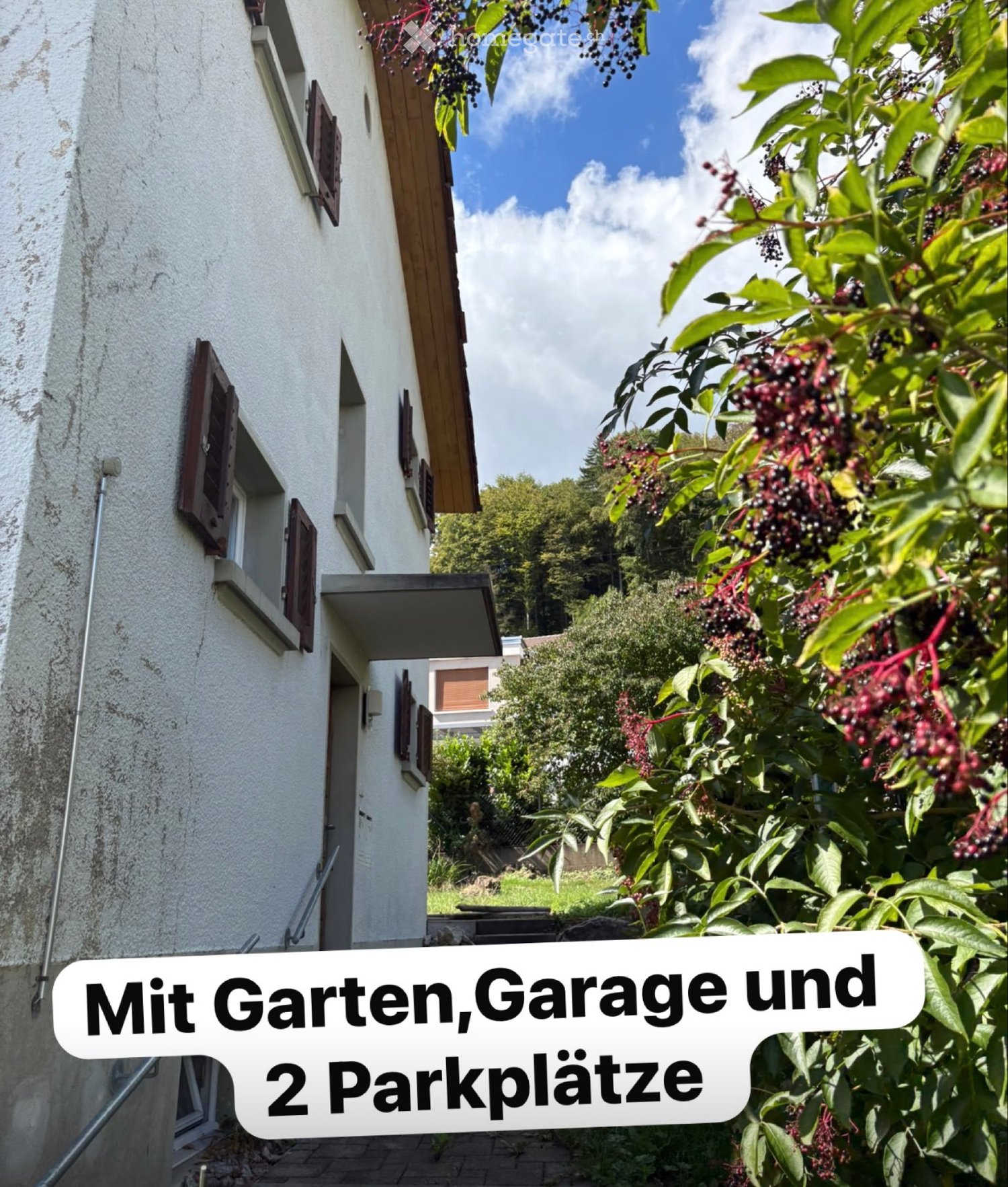 5 rooms single house, Foto 3 von 5