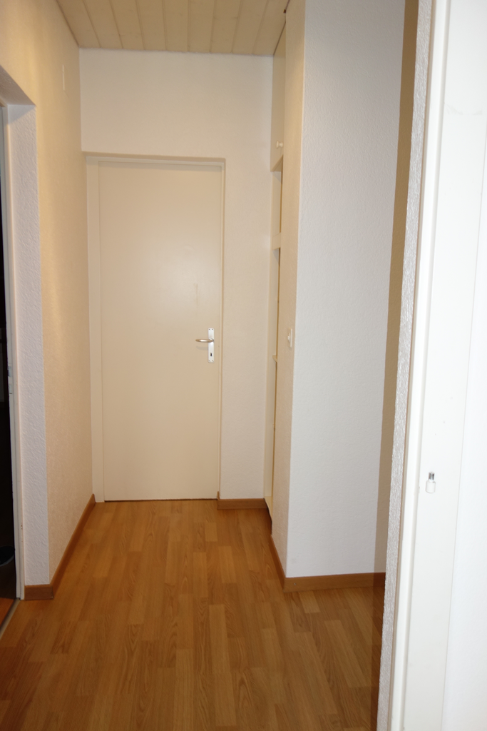 2 ½ Zimmer Wohnung