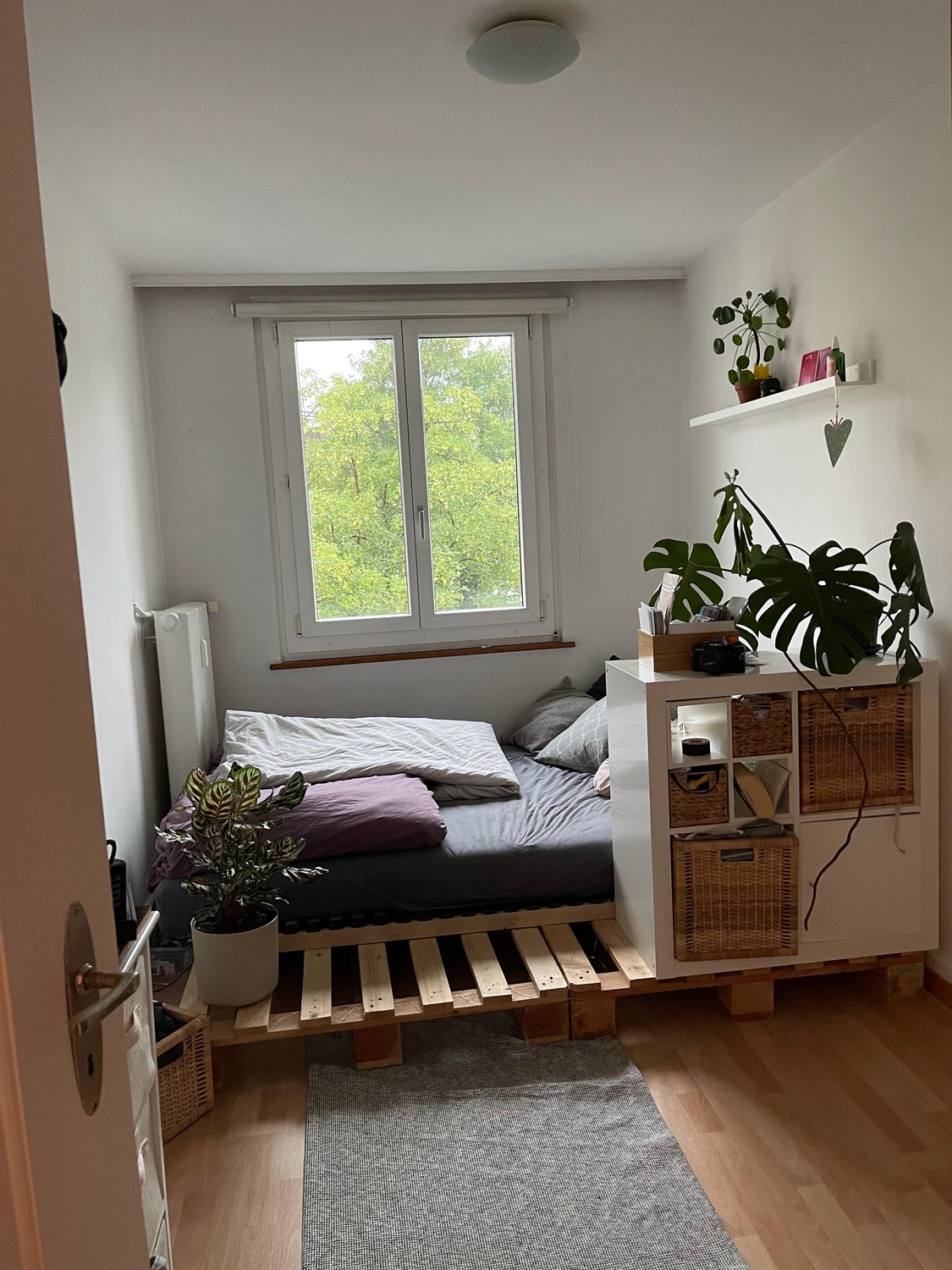 Chambre dans un appartement partagé
